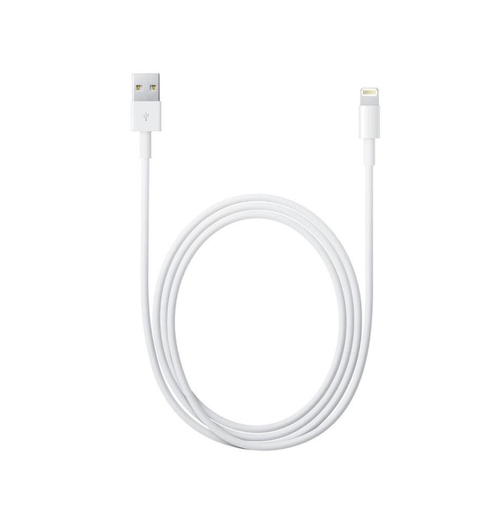 Apple Cavo Lightning A Usb-a 1m Mxly2zm/a