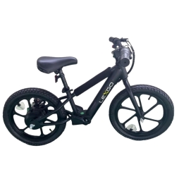 Lexgo Efun 20 L.e. E-bike 16" 180w 5,2ah Blk