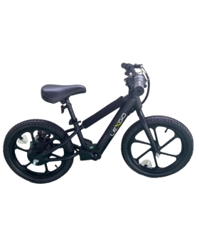 Lexgo Efun 20 L.e. E-bike 16" 180w 5,2ah Blk