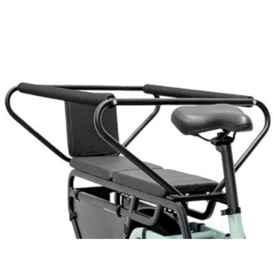 PLATUM E-Bike Van MY 2025