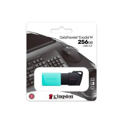 Kingston Pendrive USB-A 3.2 256GB DTXM/256GB Nero/Azzurro