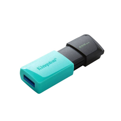 Kingston Pendrive USB-A 3.2 256GB DTXM/256GB Nero/Azzurro