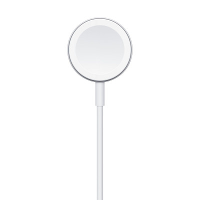 Apple Cavo Magnetico Ricarica Apple Watch USB-A 1m MW6A3ZM/A