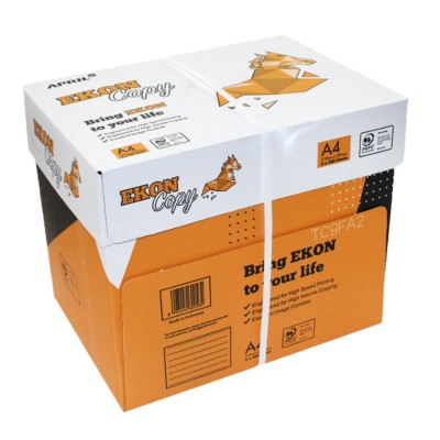 Ekon Confezione 1 Risma da 500 Fogli A4