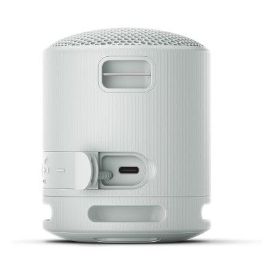 Sony SRS-XB100 Speaker Wireless Bluetooth Grigio
