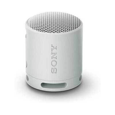 Sony SRS-XB100 Speaker Wireless Bluetooth Grigio