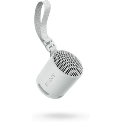 Sony SRS-XB100 Speaker Wireless Bluetooth Grigio