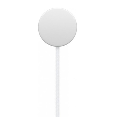 Apple Cavo Magnetico Ricarica Apple Watch USB-C 1m MT0H3ZM/A