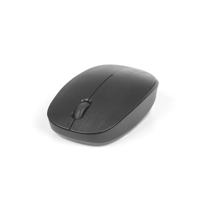 NGS - -0950 mouse