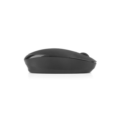 NGS - -0950 mouse