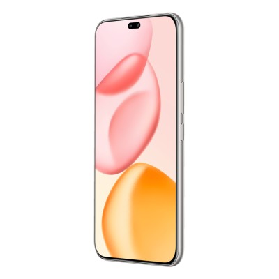 Honor 400 Pro 17 cm (6.7") MagicOS 9.0 5G 12 GB 512 GB 5300 mAh Grigio