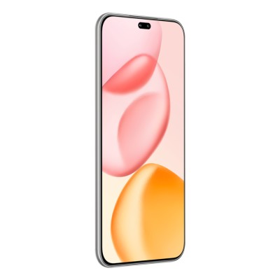 Honor 400 Pro 17 cm (6.7") MagicOS 9.0 5G 12 GB 512 GB 5300 mAh Grigio