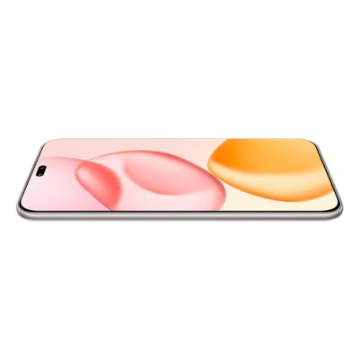 Honor 400 Pro 17 cm (6.7") MagicOS 9.0 5G 12 GB 512 GB 5300 mAh Grigio