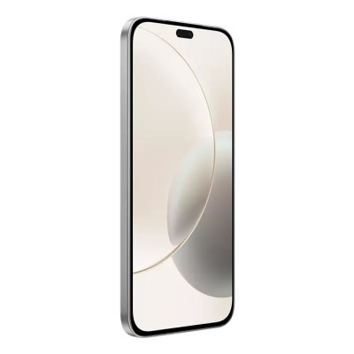 Honor 400 Lite 17 cm (6.7") Doppia SIM MagicOS 9.0 5G USB tipo-C 8 GB 256 GB 5230 mAh Grigio