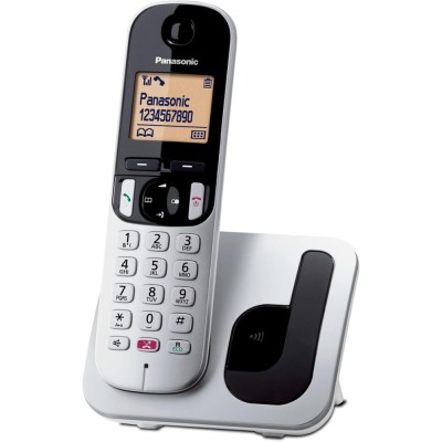 CORDLESS PANASONIC KX-TGC250JTS CON VIVAVOCE SILVER