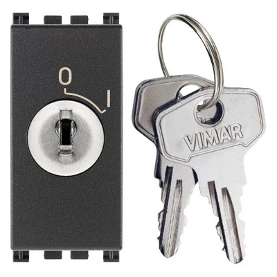 Interruttore VIMAR 2P 16(3)A + Chiave Grigio - Sicurezza e Affidabilità - SKU 19083