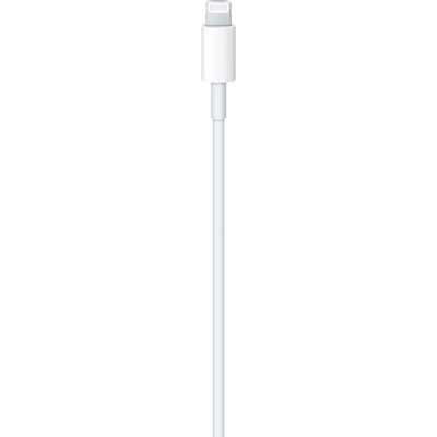 APPLE CAVO DI RICARICA USB TYPE-C (2M) MLL82ZM/A